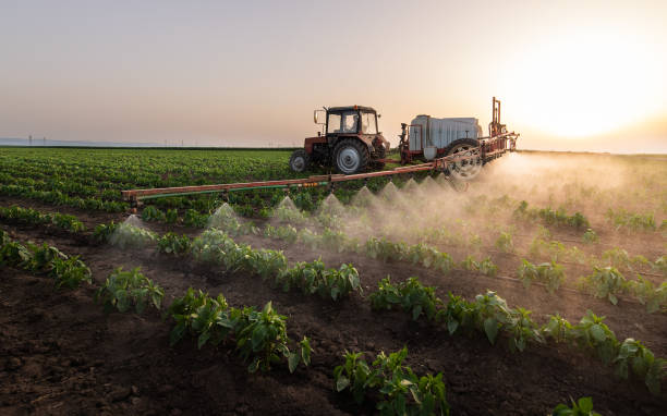 Best Pest Control Cost  in Hereford, TX