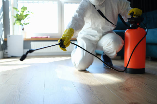 Best Best Pest Control Companies  in Hereford, TX