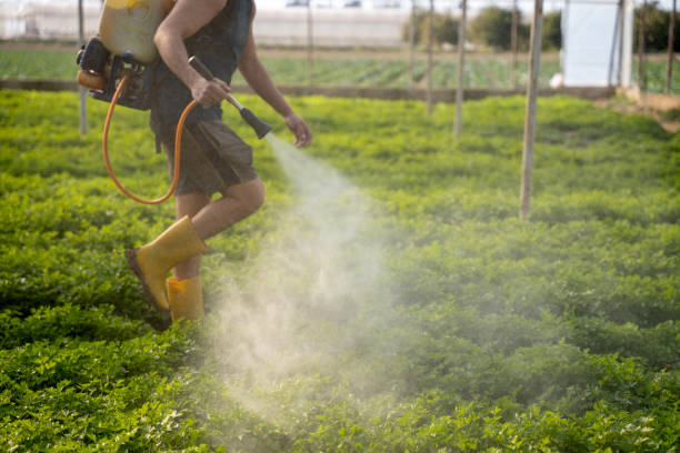 Best Pest Inspection Near Me  in Hereford, TX
