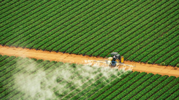 Best Best Pest Control Near Me  in Hereford, TX