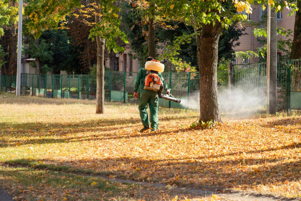 Best Cockroach Control Services  in Hereford, TX