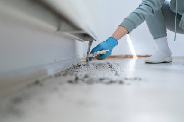 Best Wildlife Control Services  in Hereford, TX