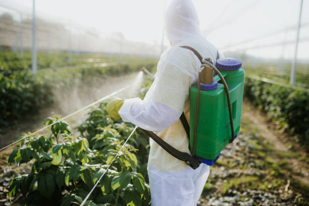 Best Pest Prevention Services  in Hereford, TX